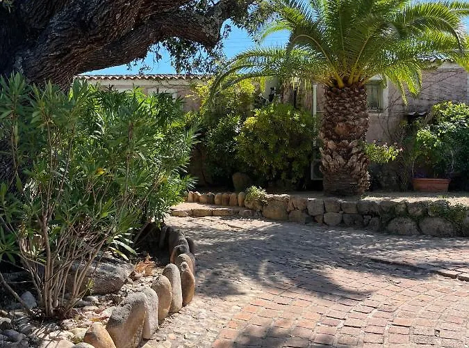 Storia Di Blue * Porto-Vecchio (Corsica)